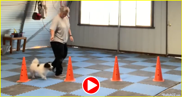 free training video from Rally A2Z - Piper weave